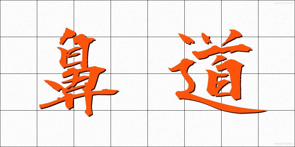 鼻道 (びどう)