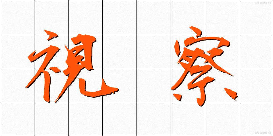 視察 (しさつ)