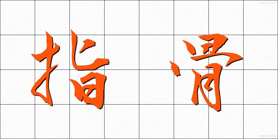 指骨 (しこつ)