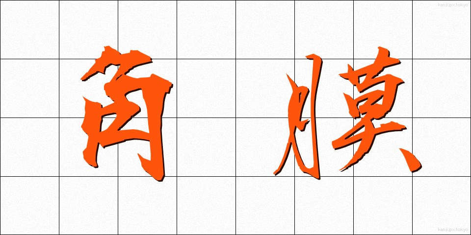 角膜 (かくまく)