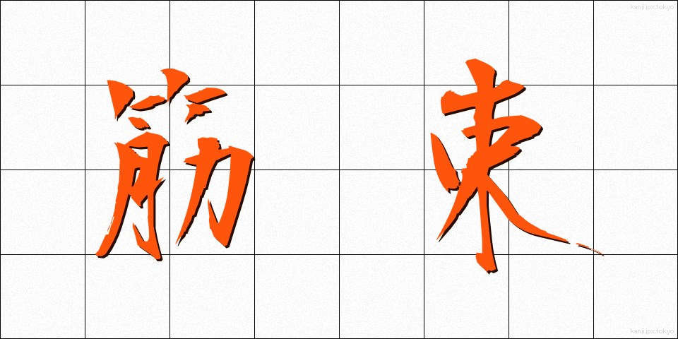 筋束 (きんそく)