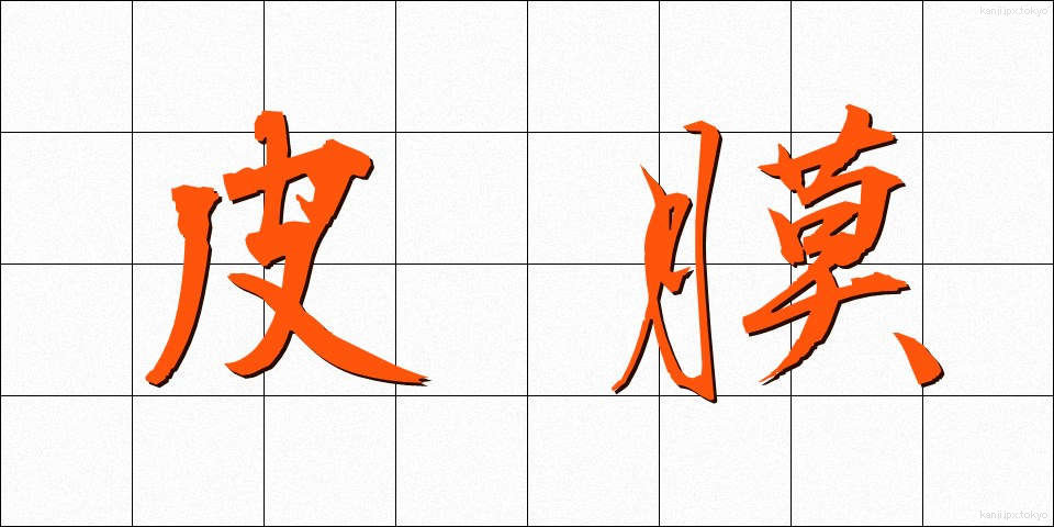 皮膜 (ひまく)