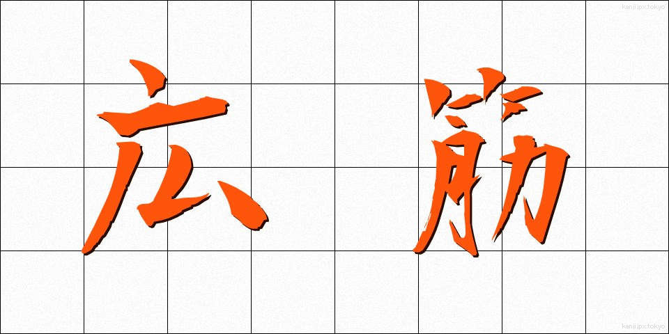 広筋 (こうきん)