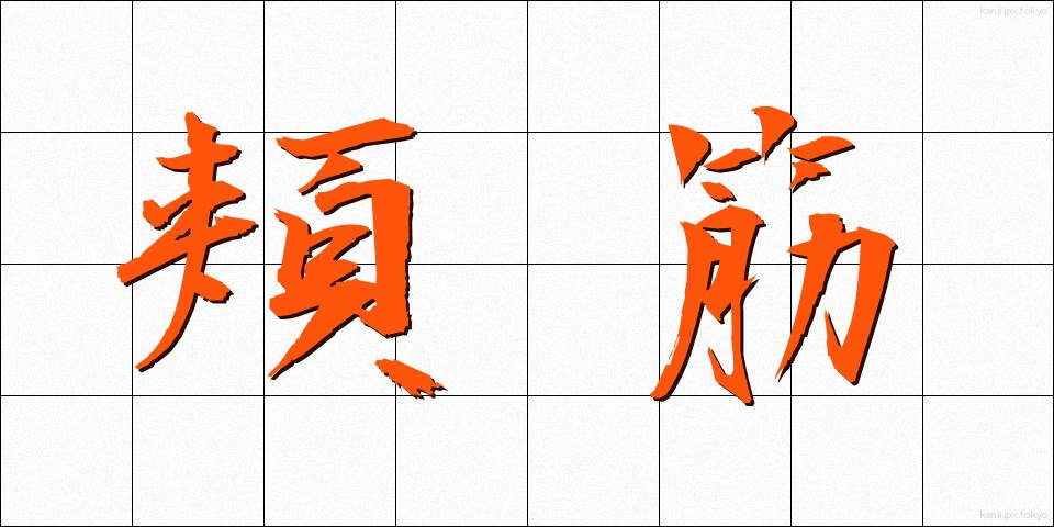 頬筋 (ほおきん)