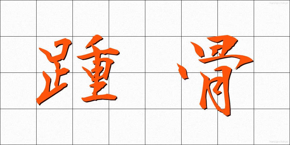 踵骨 (しょうこつ)