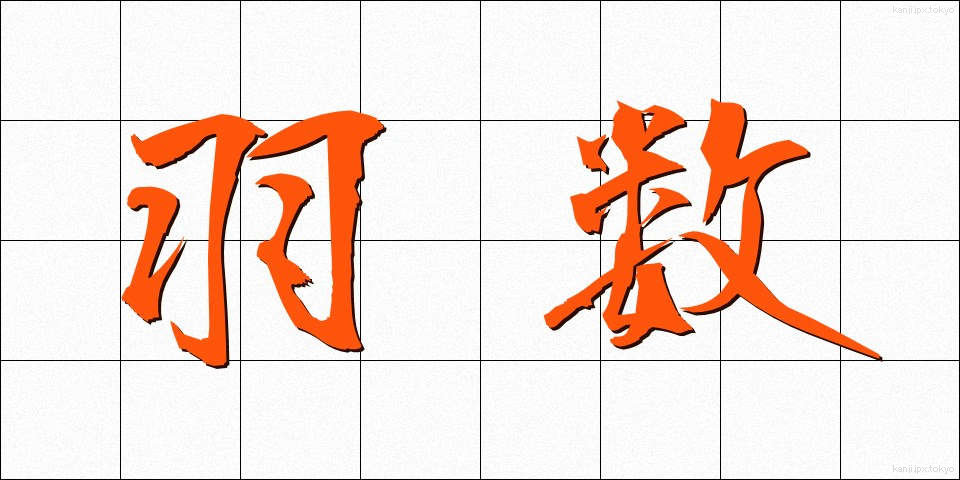 羽数 (はすう)