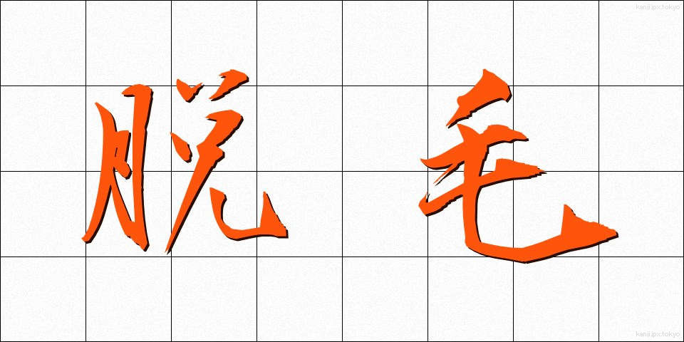 脱毛 (だつもう)
