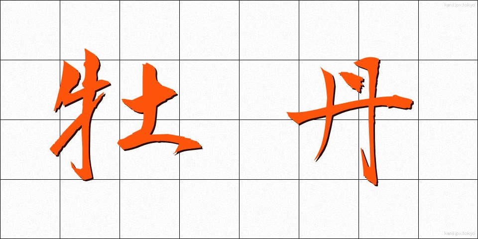 牡丹 (ぼたん)