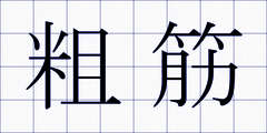 粗筋