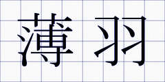 薄羽
