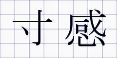 寸感