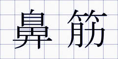 鼻筋