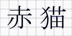 赤猫