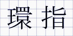 環指