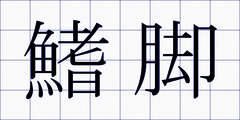 鰭脚