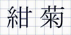 紺菊