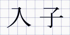 入子