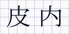 皮内