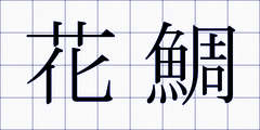 花鯛