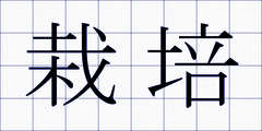 栽培