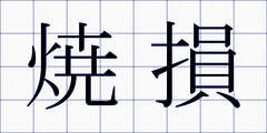 焼損