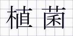 植菌