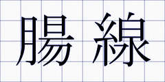 腸線
