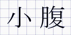 小腹