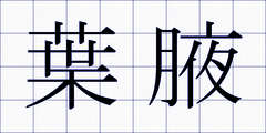 葉腋