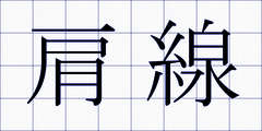 肩線