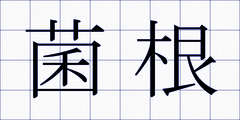 菌根