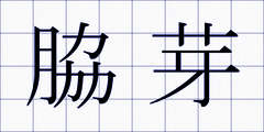 脇芽