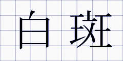 白斑