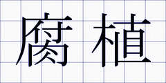 腐植