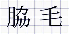 脇毛