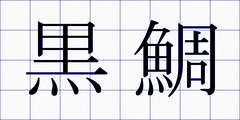黒鯛