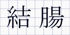 結腸