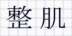 整肌