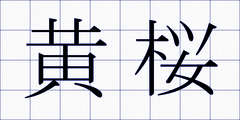 黄桜