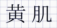 黄肌