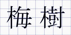 梅樹