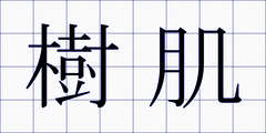 樹肌