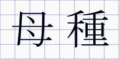 母種