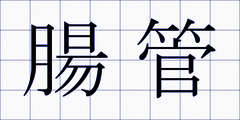 腸管