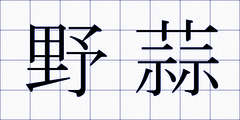 野蒜