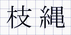 枝縄