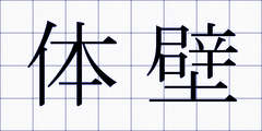 体壁