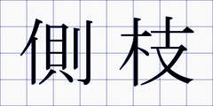 側枝