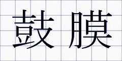 鼓膜
