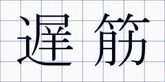 遅筋